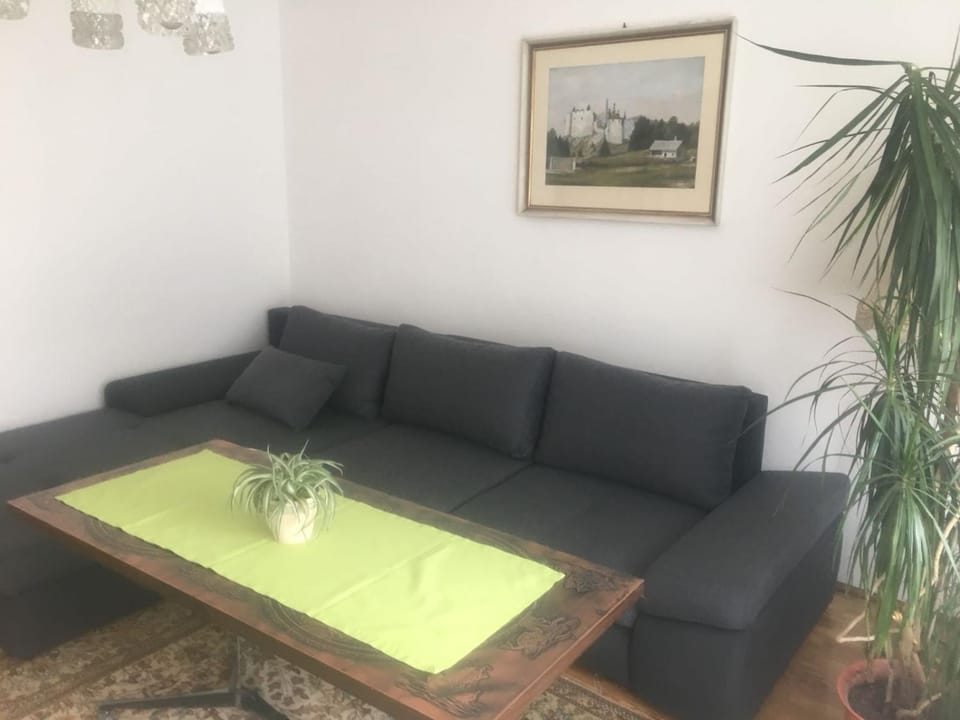 Karls Ferienwohnung mit Terrasse Apartment in Styria