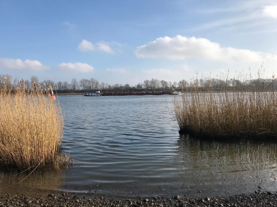 Day, River view