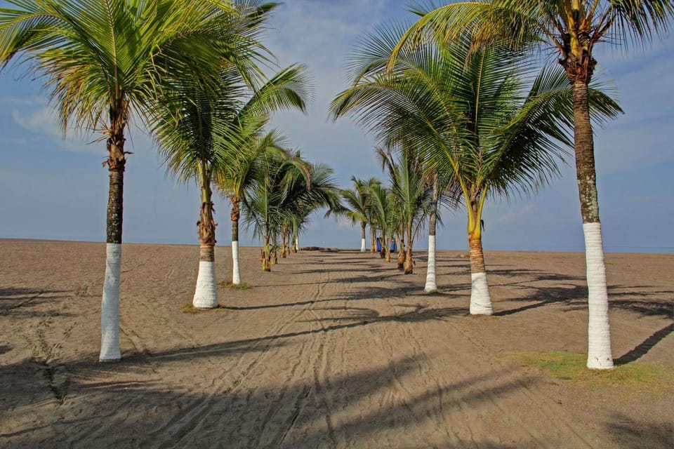 Beach, On site, Sea view