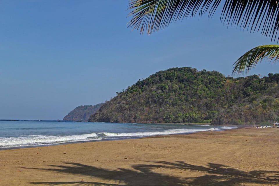 Beach, On site, Sea view