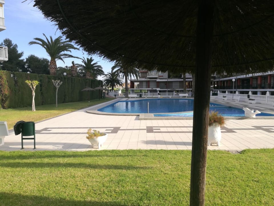 Pool view, Swimming pool