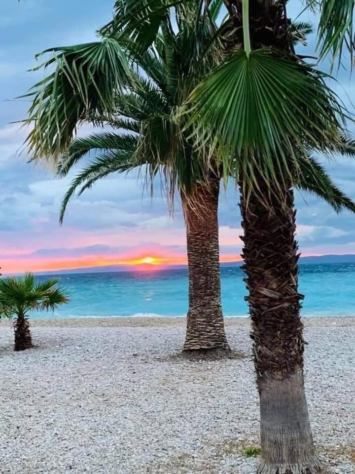 Apartmani Ankica Dekovići bb Apartment in Dubrovnik-Neretva County