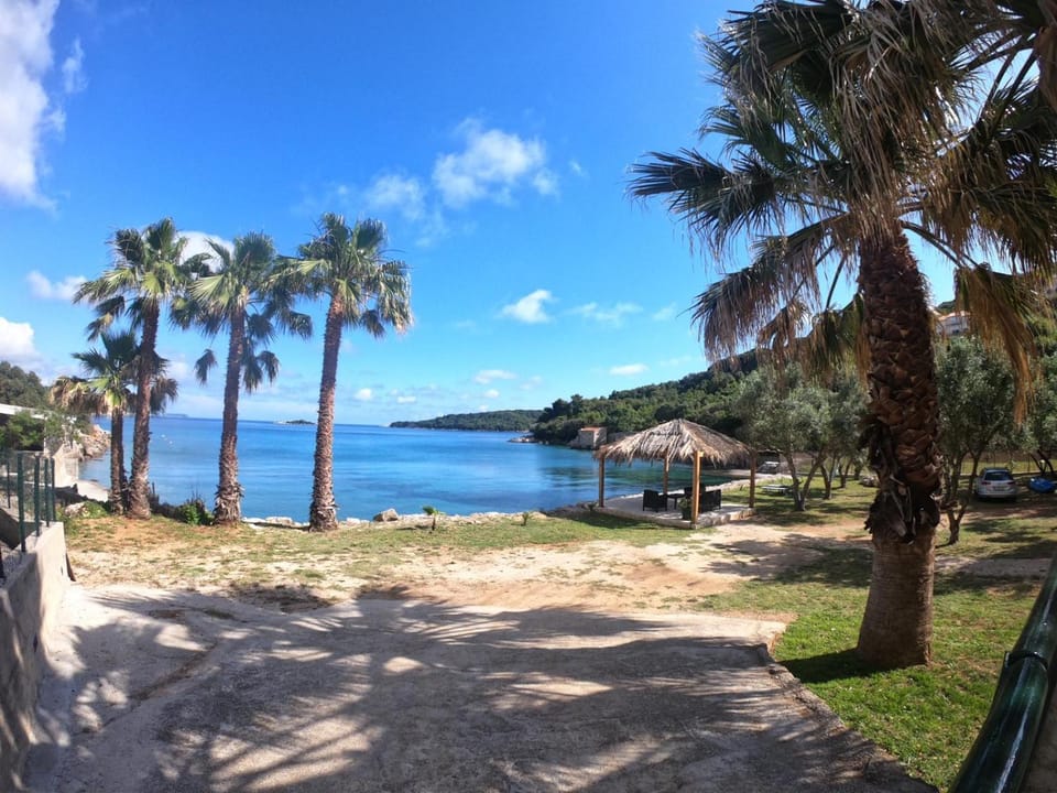 Garden, On site, Sea view