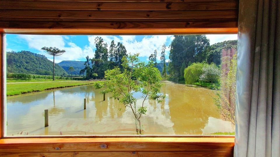 Lake view