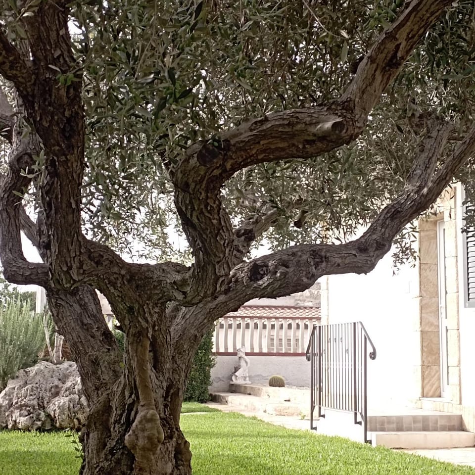 La casetta di viale Paradiso Bed and Breakfast in Sicily