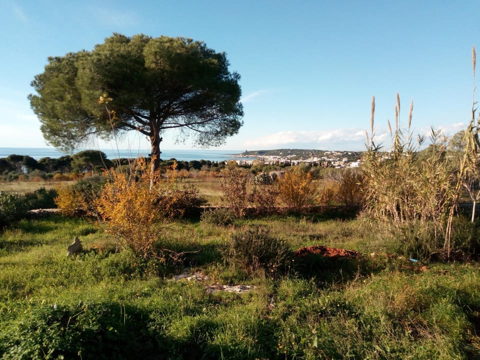 Antica Tenuta Farm Stay in Apulia
