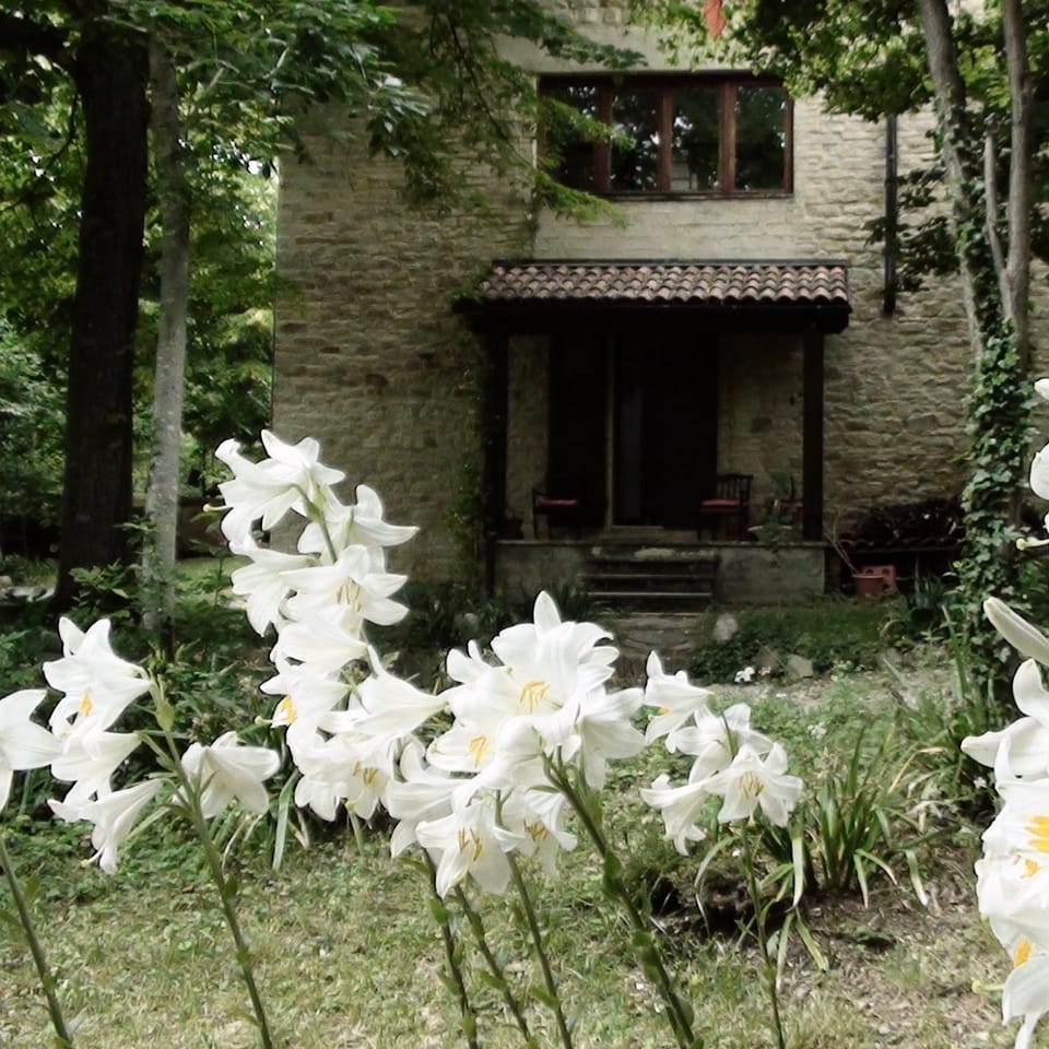 La Casita Bed and Breakfast in Marche