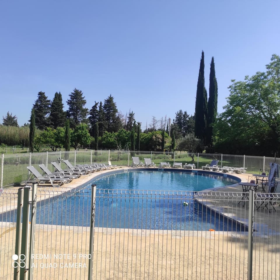 Swimming pool, sunbed