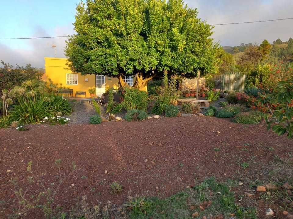 Off site, Day, Garden, Garden, Garden view, Garden view, Sunset