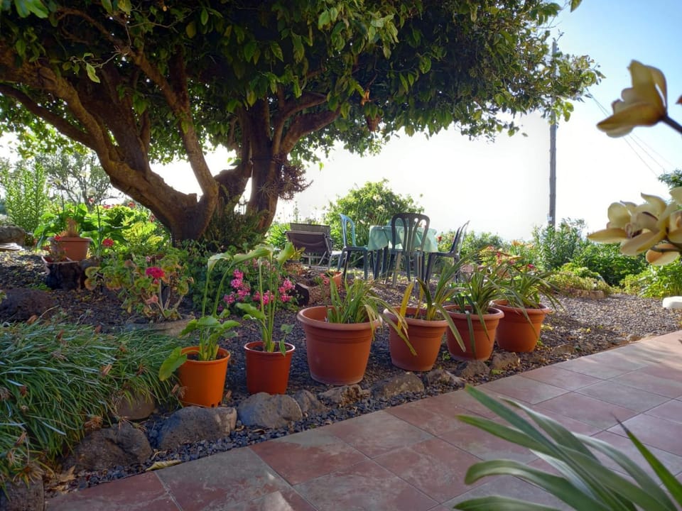 Garden, Garden view