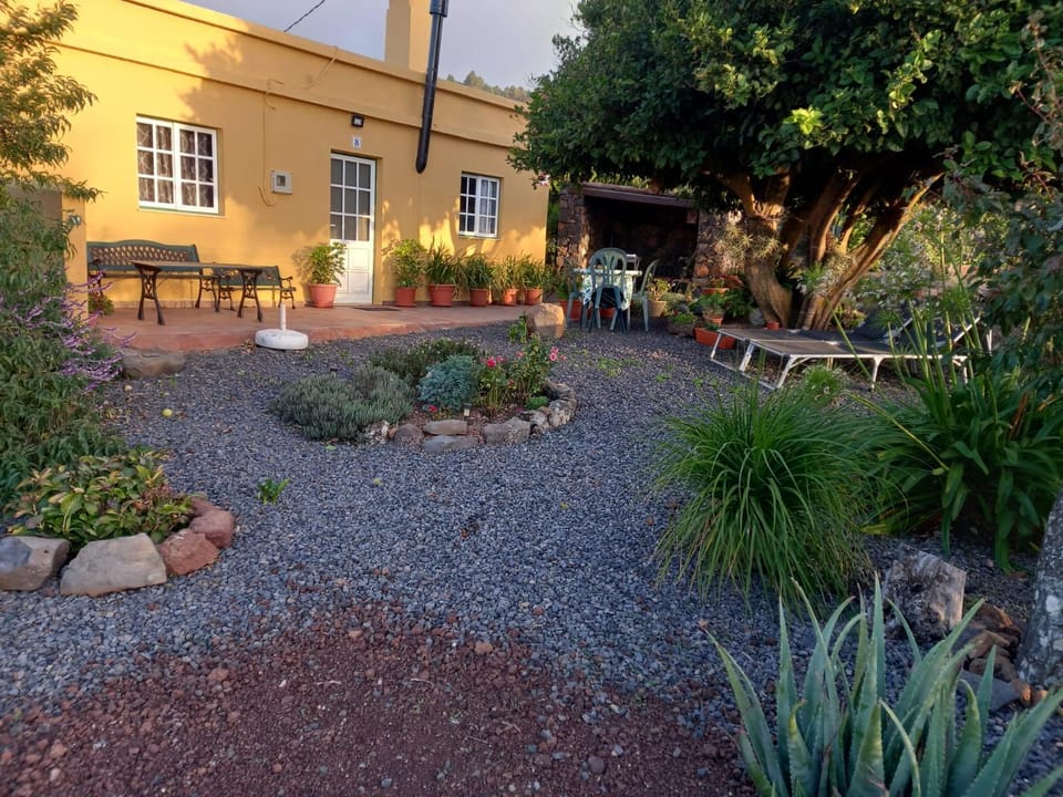 Off site, Garden, Garden, Garden view, Garden view, Sunset