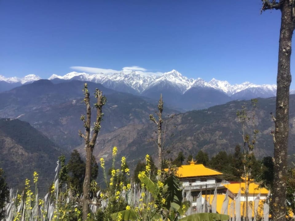 Soshing Homestay Vacation rental in India