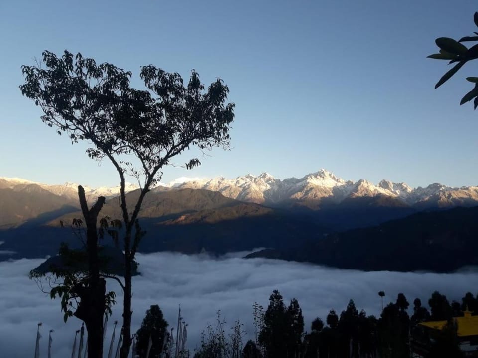 Soshing Homestay Vacation rental in India