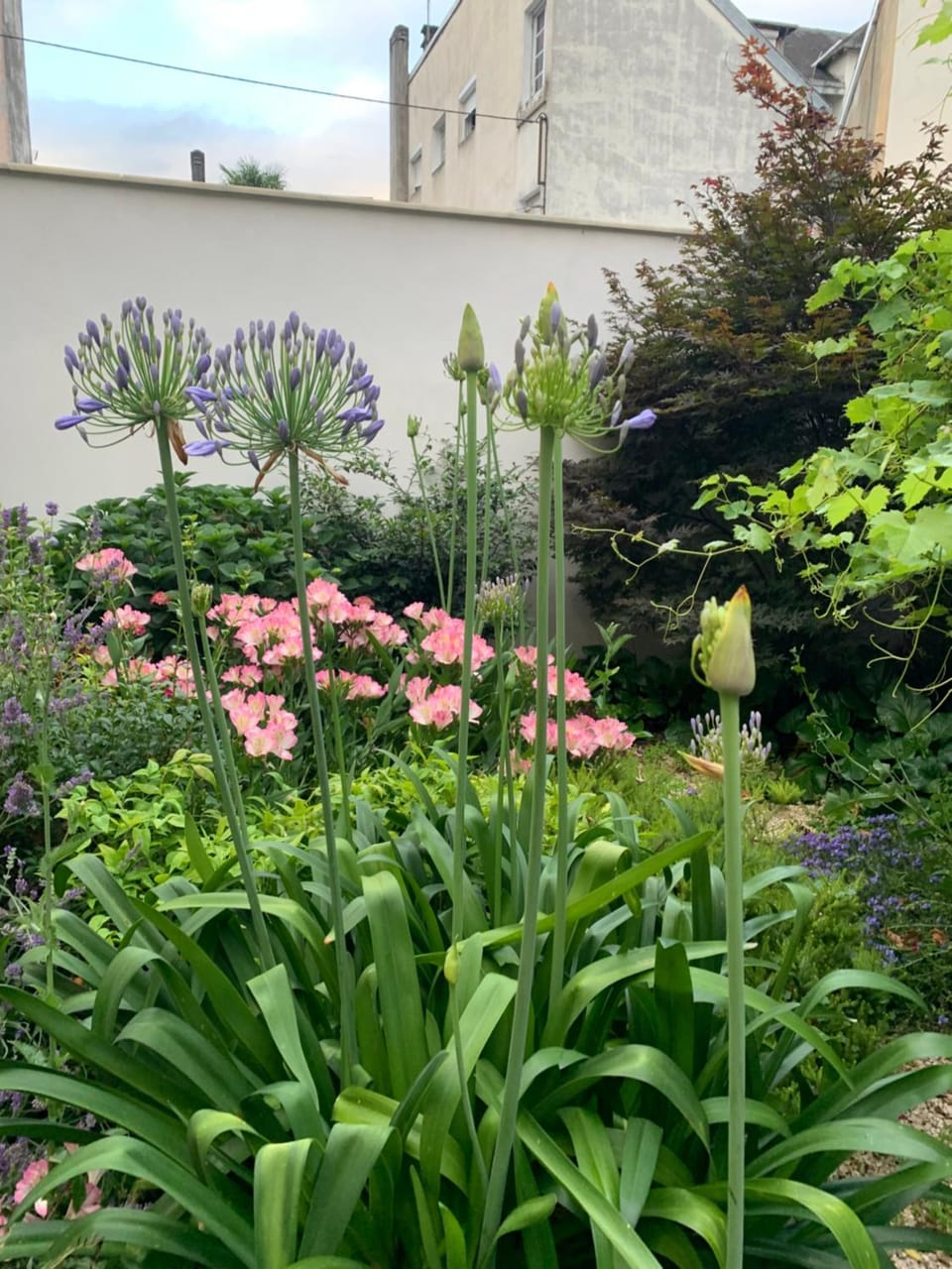 La Sainte Famille Bed and Breakfast in Lourdes