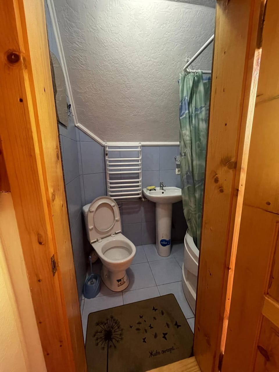Shower, Toilet
