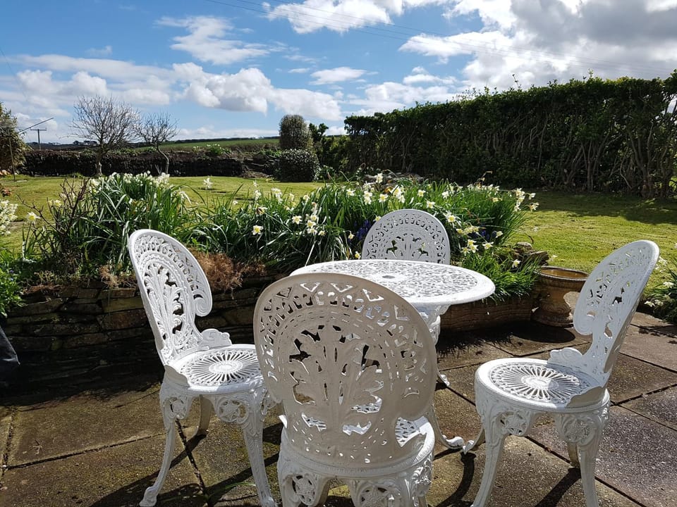 Patio, Garden, Garden view