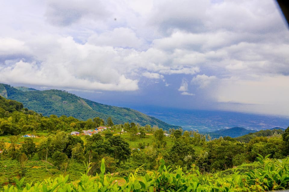 Mountain view