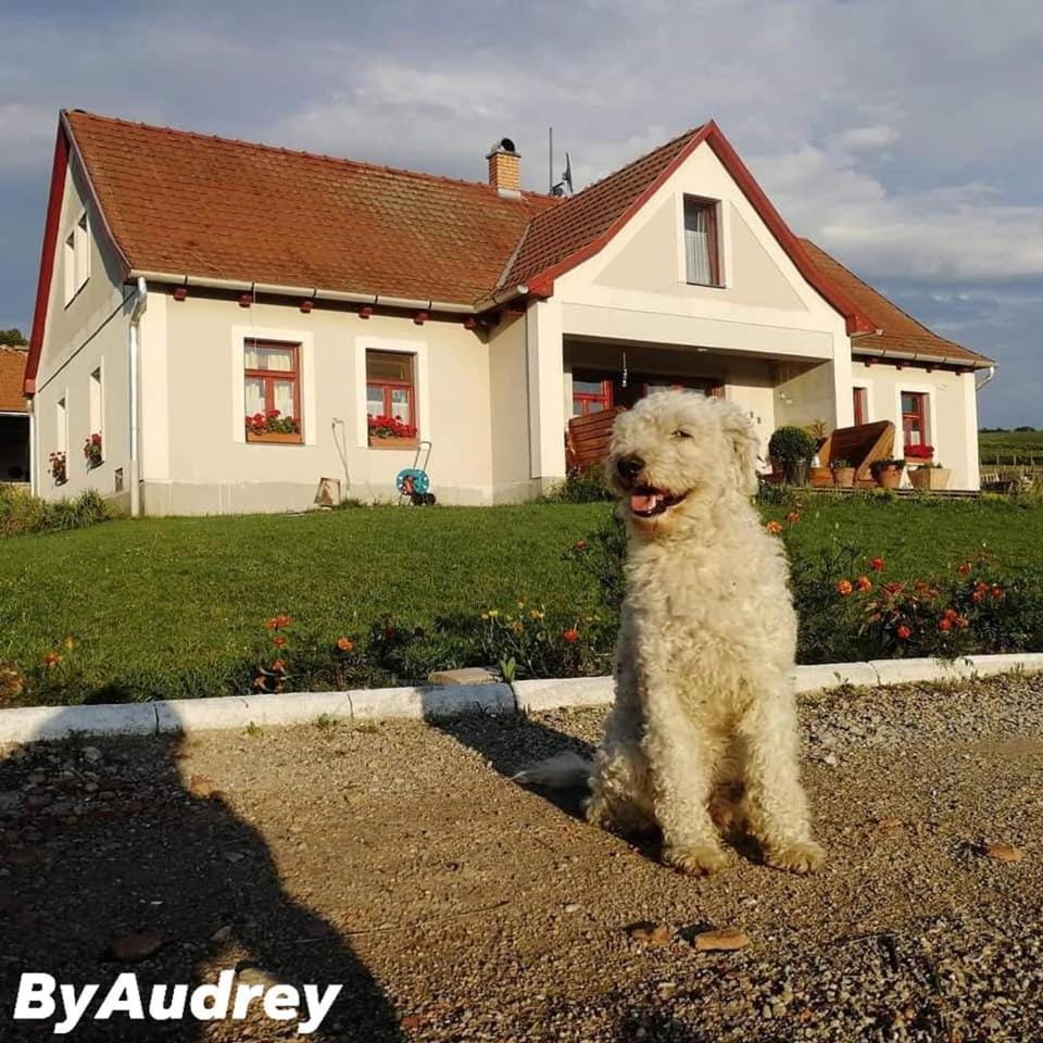 Dósa tanya, Vendégház Bed and Breakfast in Slovakia