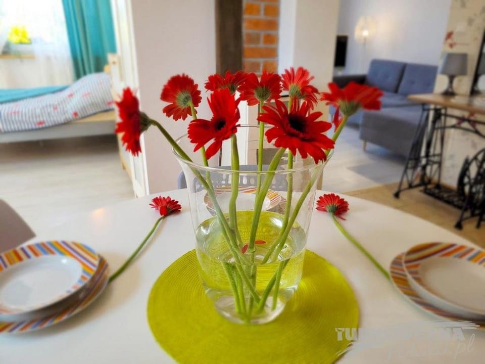 Apartament MNICH Apartment in Pomeranian Voivodeship