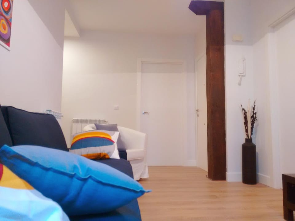 Heriz 8 Apartment in San Sebastian