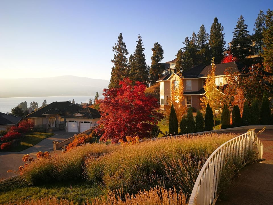 Natural landscape, Garden view, Lake view
