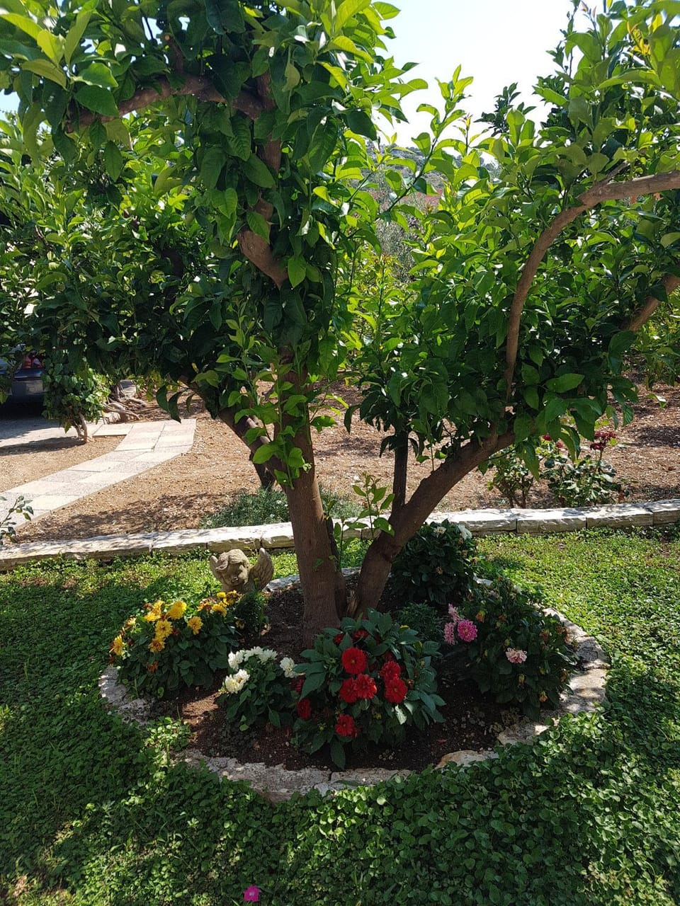 Apartmani Anita, Stupin Celine Apartment in Šibenik-Knin County, Croatia