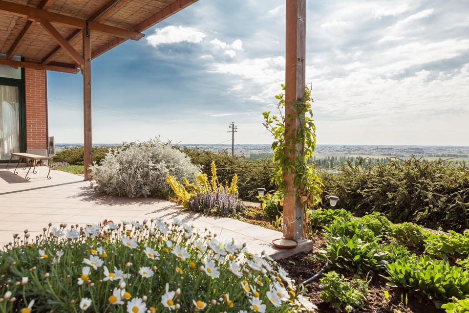 Nearby landmark, Natural landscape, Garden