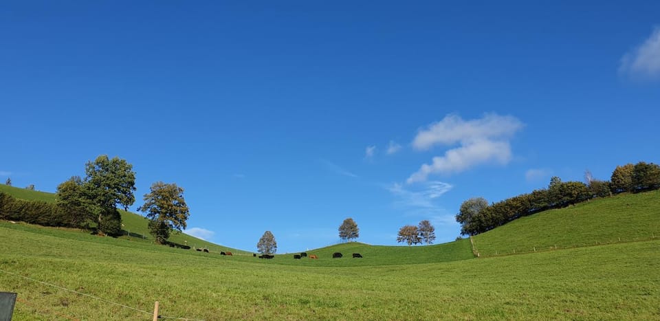 Natural landscape
