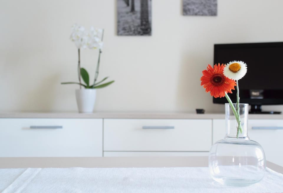 Communal lounge/ TV room, Spring, Day, Winter, Summer, TV and multimedia, Decorative detail, Autumn