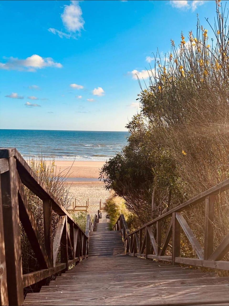 Hostal la Campa Bed and Breakfast in Chiclana de la Frontera