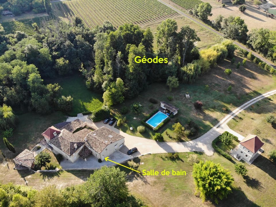 Day, Bird's eye view, Summer, Garden