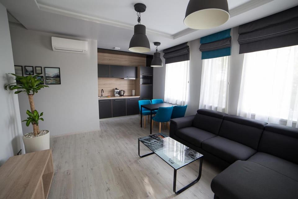 TV and multimedia, Kitchen or kitchenette, Living room, Seating area, Dining area, air conditioner