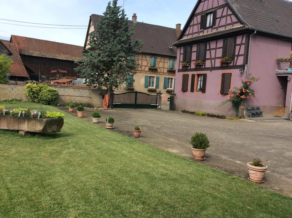 Property building, Garden