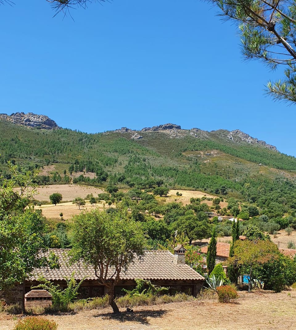 Mountain view