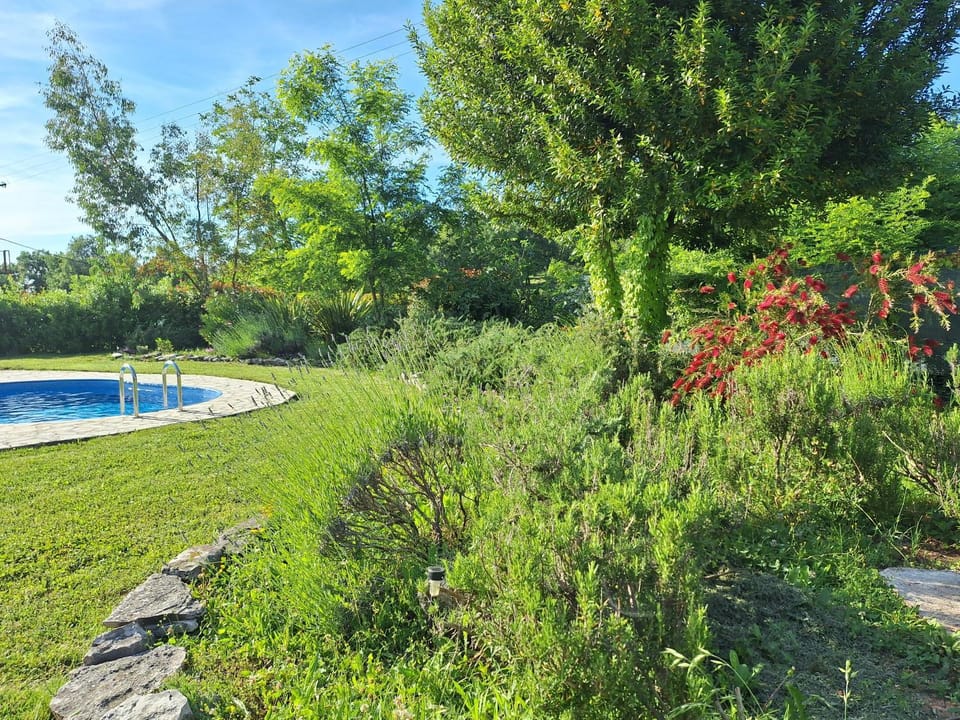 Day, Natural landscape, Garden, Pool view, Swimming pool