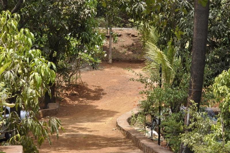Garden view