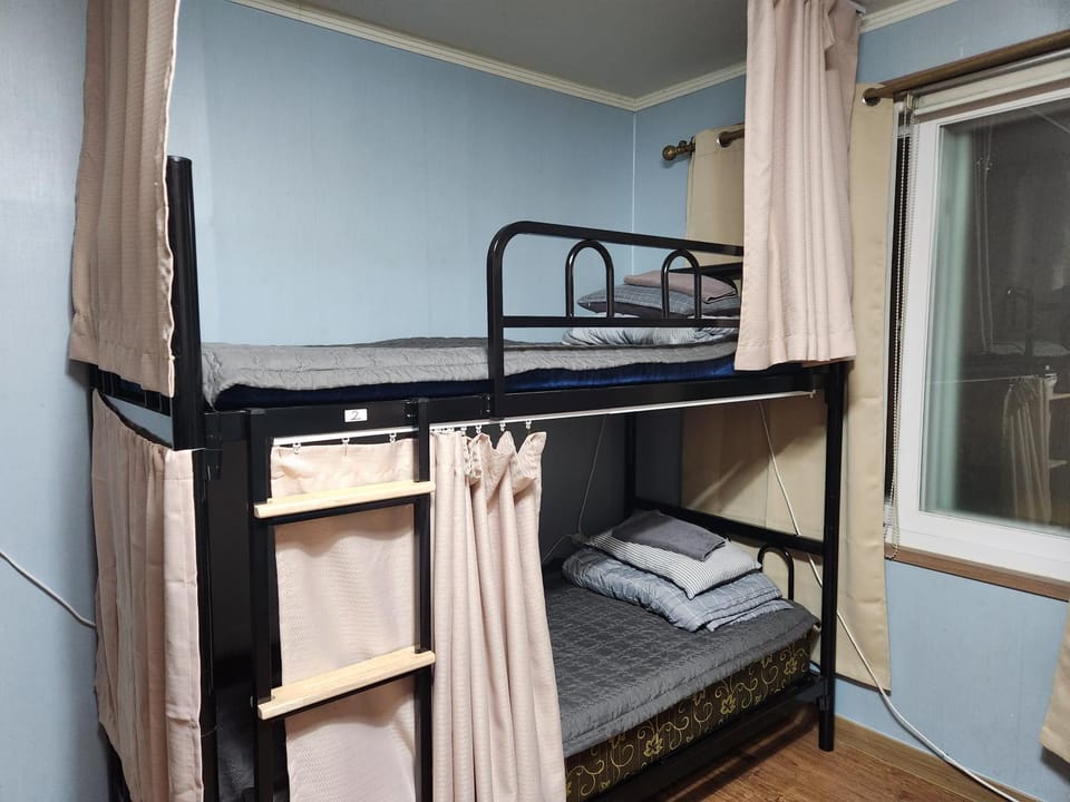 Birdsnest Hostel Hongdae Foreigner only Hostel in Seoul