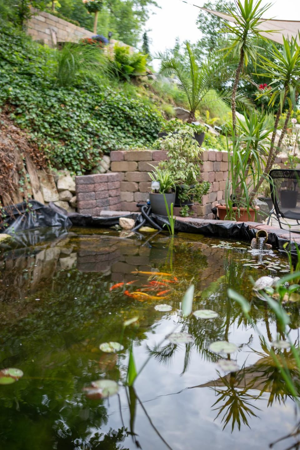 Spring, Natural landscape, Garden, Lake view