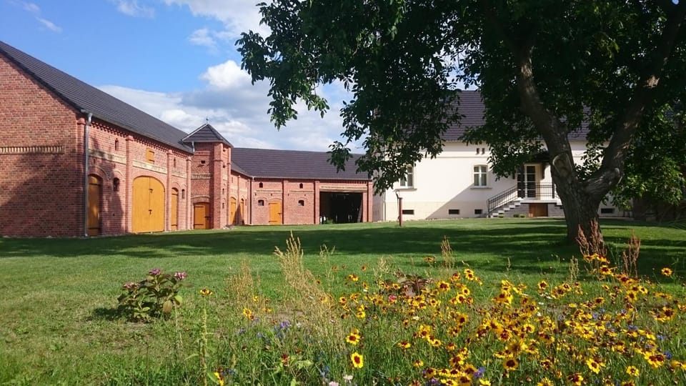 Inner courtyard view