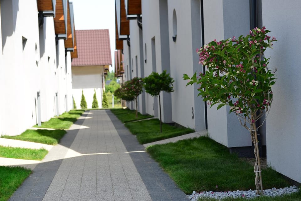 Property building, Spring, Day, Neighbourhood, Natural landscape, Garden, Garden view, Street view