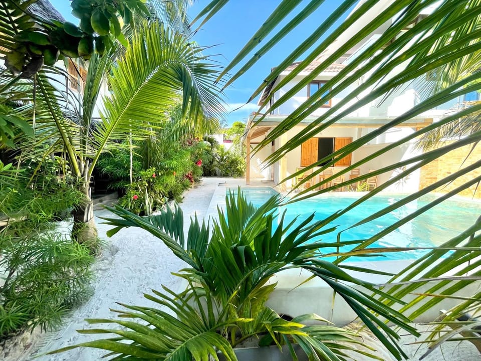 Garden, Swimming pool