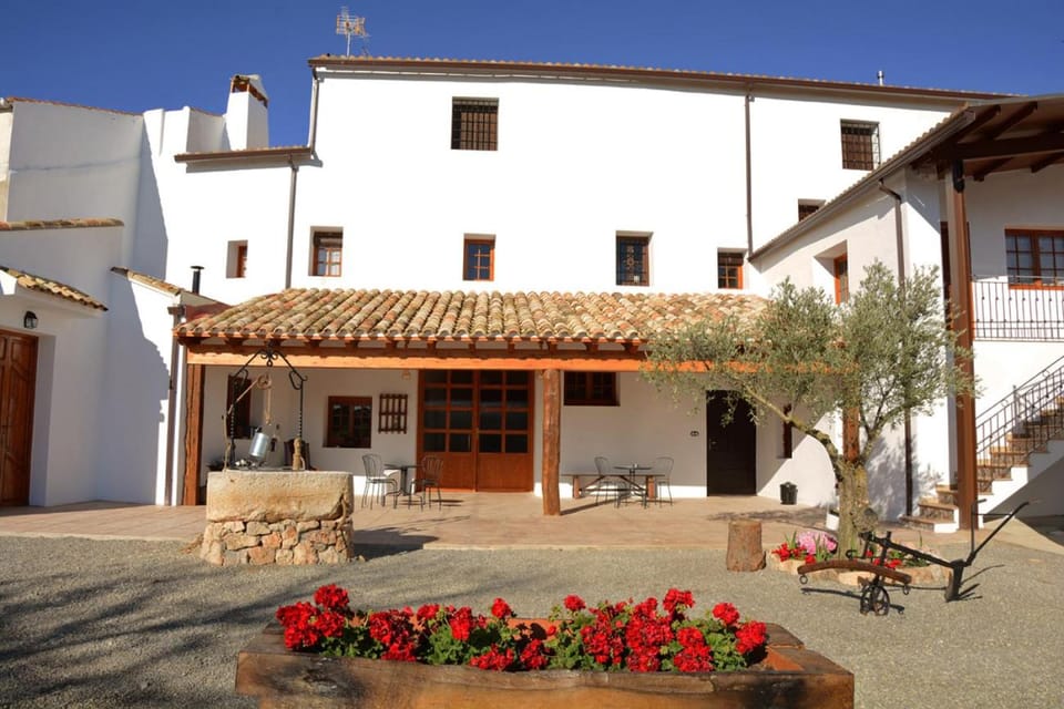 Patio, BBQ facilities, Garden, Balcony/Terrace, Area and facilities
