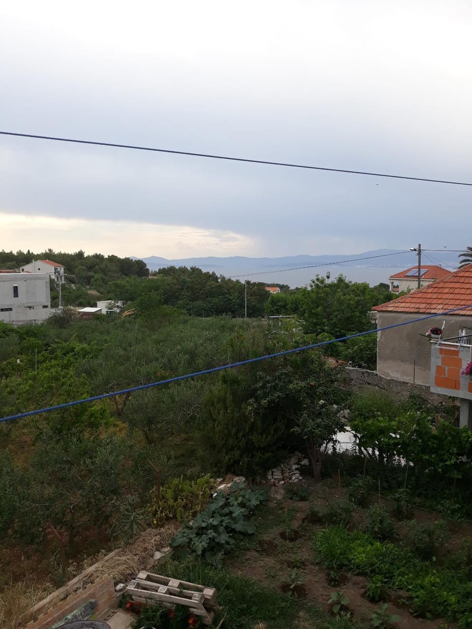 Location, children, Family