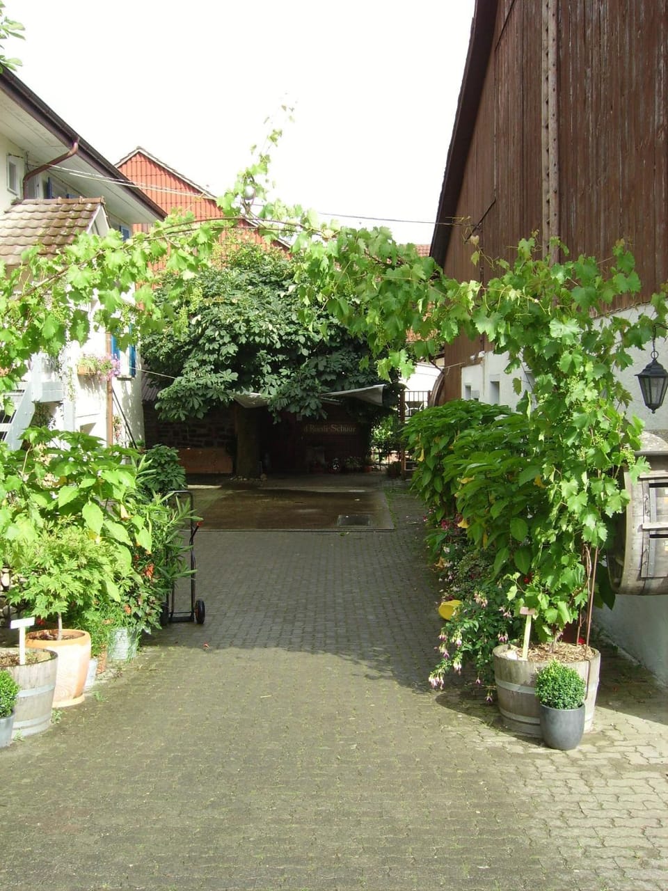 Rüedi - WeinFassHotel Bed and Breakfast in Schaffhausen, Switzerland