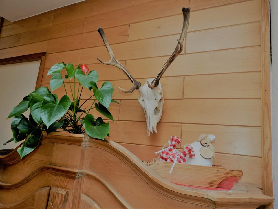 Hotel Hohe Tauern Hotel in Salzburgerland