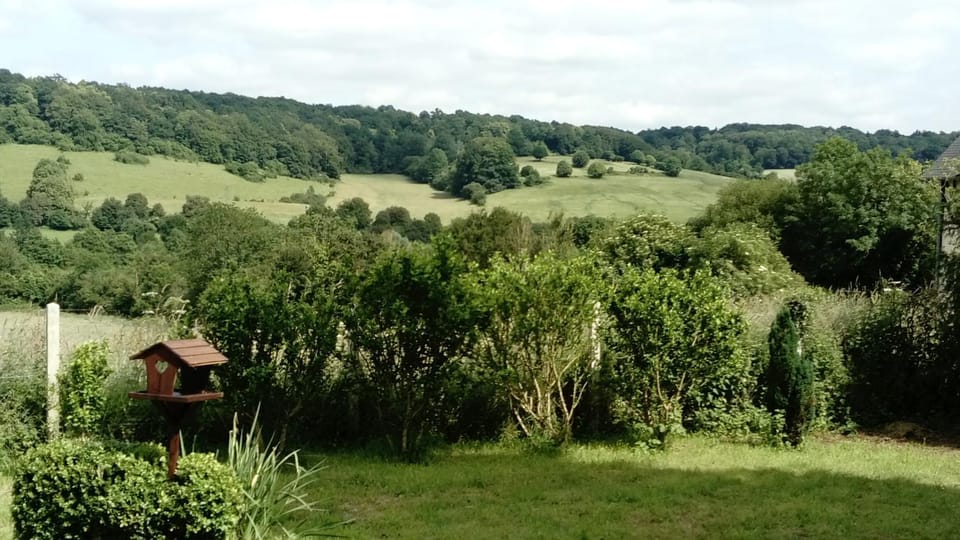 View (from property/room)