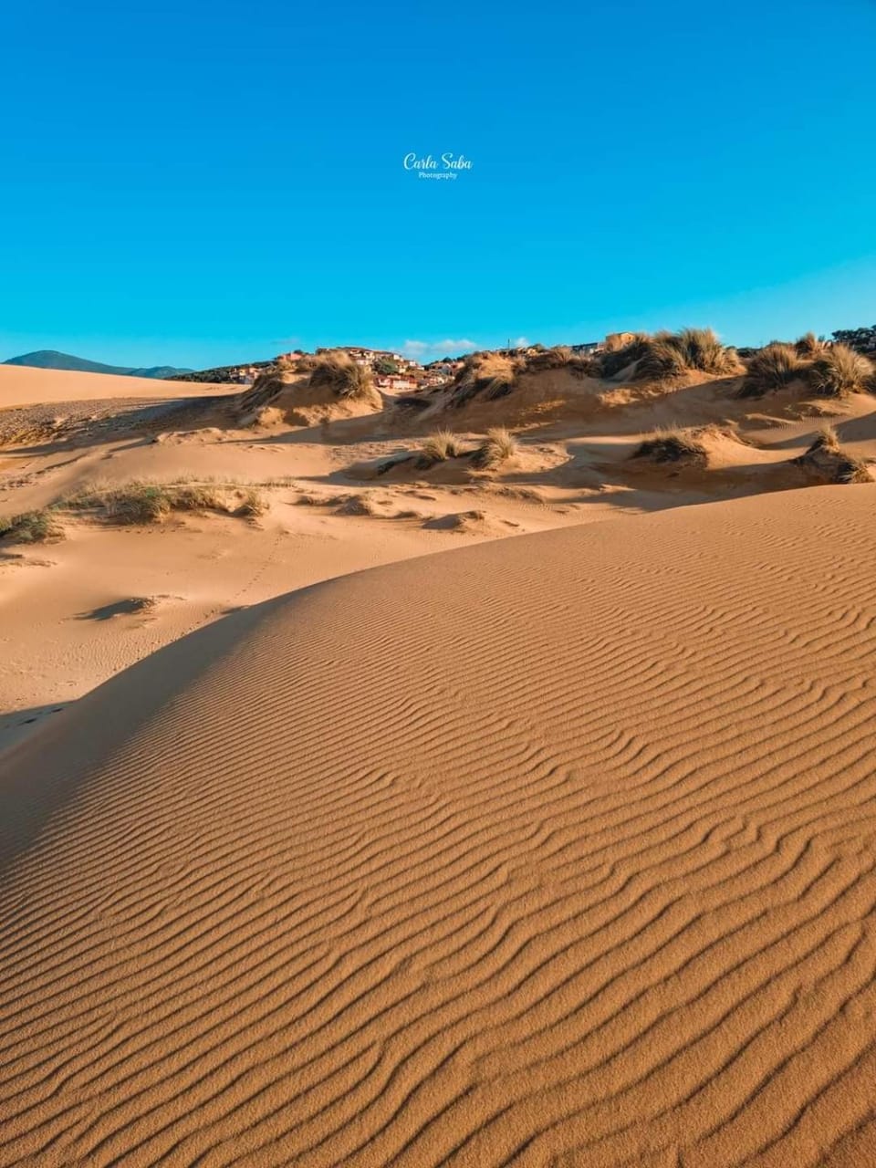 Natural landscape