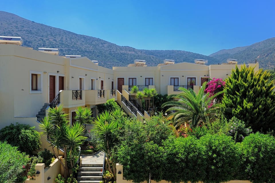 Bird's eye view, Garden