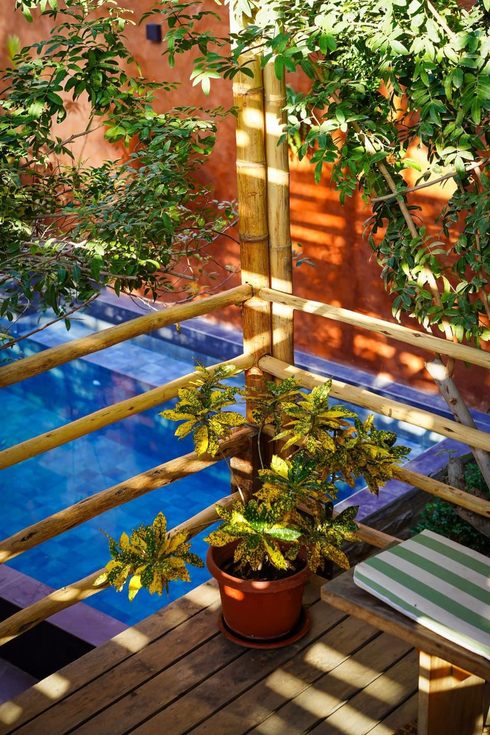 Garden, Swimming pool