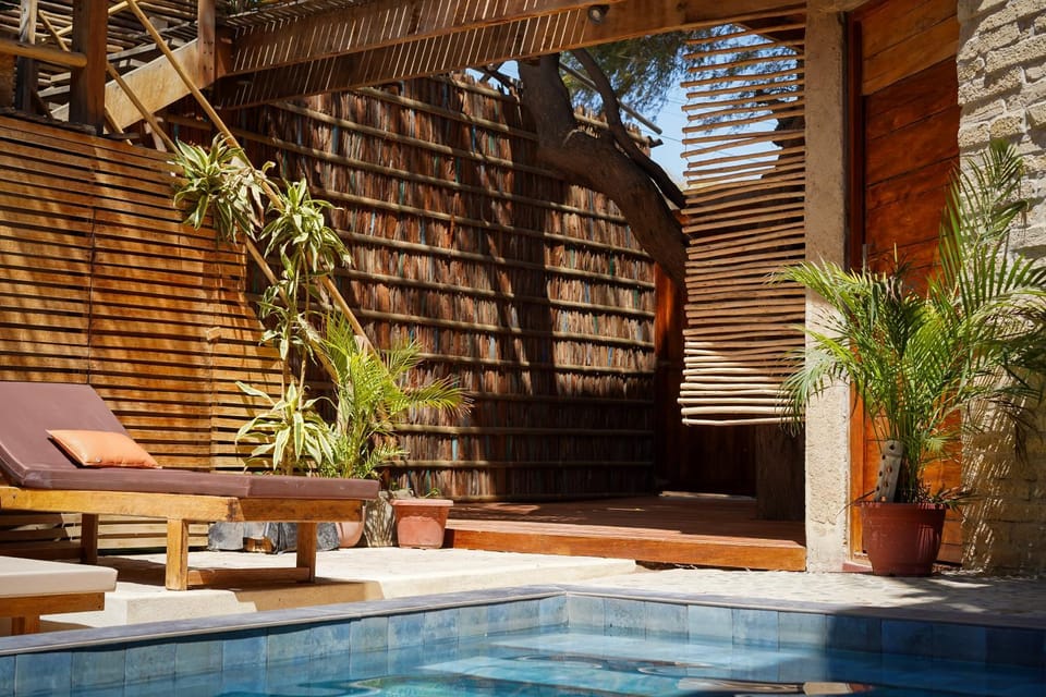 Patio, Swimming pool, sunbed